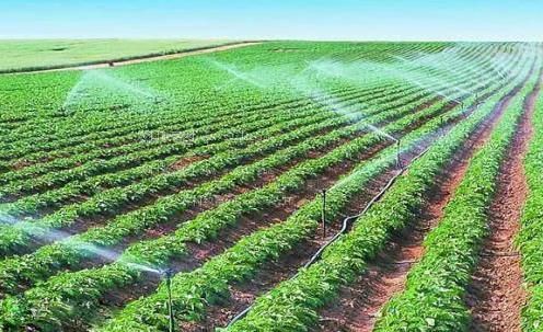 艹逼小视频农田高 效节水灌溉